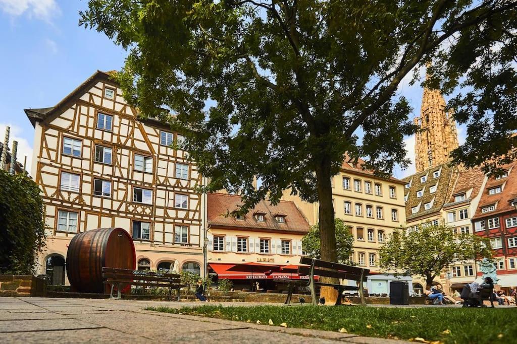 Petit & Authentique Hyper Centre Apartment Strasbourg Ngoại thất bức ảnh